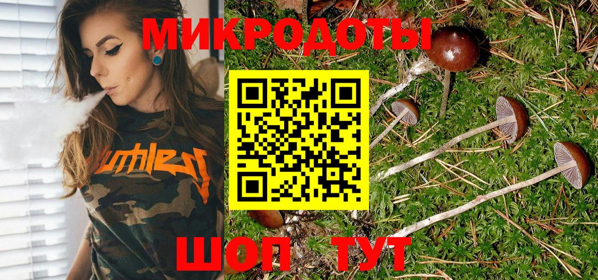 Псилоцибиновые грибы Magic Shrooms  Вход с VPN  Псилоцибиновые грибы Magic Shrooms  Кубинка 